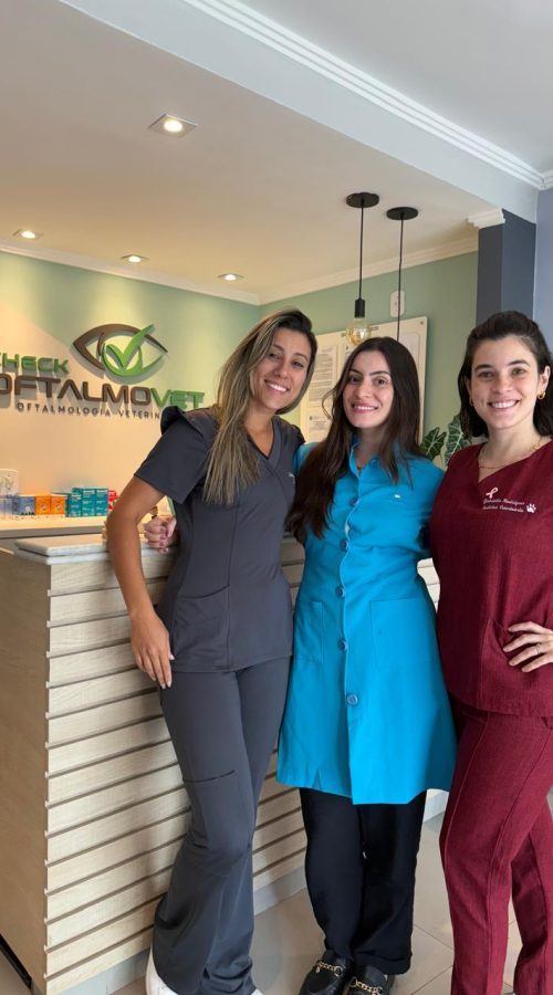 91303b11-24d9-4de9-96ad-5686ffde2520